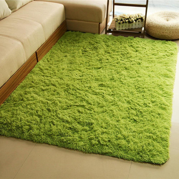 Shaggy Soft Carpet Area Rug