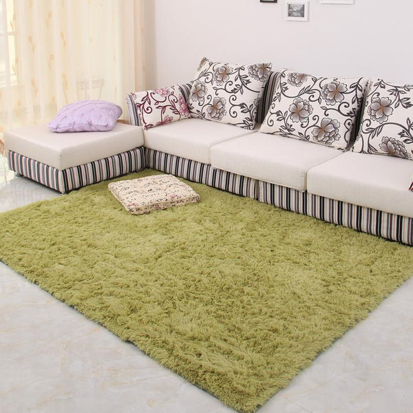 Shaggy Soft Carpet Area Rug